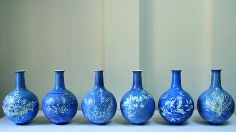 mėlynos ir baltos vazos