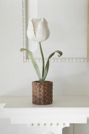 Kronblad, blomst, kæmpe hvid arumlilje, botanik, blomstrende plante, Arum, artefakt, Indretning, stillebenfotografering, vase, 