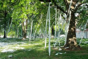 De beste måtene å fjerne toalettpapir fra trærne 2023