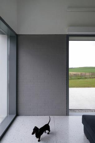 House Lessans, et udsøgt enkelt hjem i County Down designet af McGonigle McGrath, er blevet kåret til RIBA House of the Year 2019