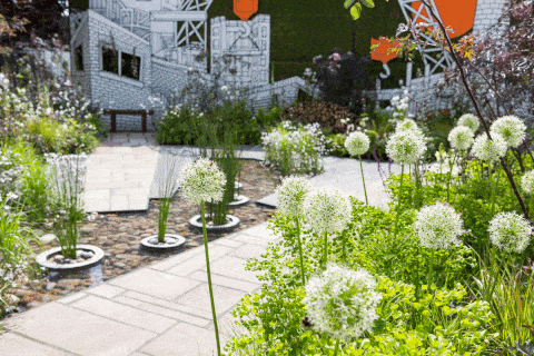 Zaļojošs pelēkais Lielbritānijas dārzs. Projektējis: profesors Naidžels Danets. RHS Chelsea ziedu izstāde 2017