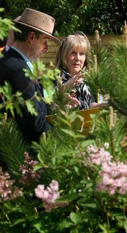 Судді обговорюють шоу -сади, виставку квітів Челсі 2008