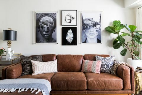 moderní obývací pokoj s rostlinou