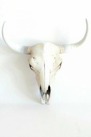 Żywiczna czaszka krowy
