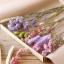 Aldi lanserer tørkede blomster for £30 — Aldi-tilbud