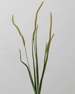 Трава з штучного цвітіння