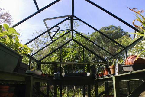 Intérieur de serre de jardin avec évents de toit à ouverture automatique, UK