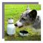 Comentário: A garrafa de tigela de cachorro Asobu mantém você e seu animal de estimação hidratados