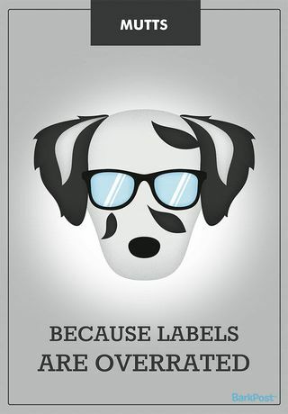 Slogans für Hunderassen