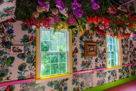 สีชมพู สีเขียว ผนัง บ้าน หน้าต่าง สถาปัตยกรรม พืช ใบไม้ ดอกไม้ ต้นไม้ 