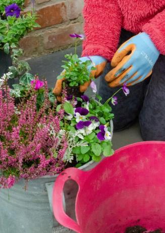 projekty ogrodowe dla dzieci pojemniki na rośliny