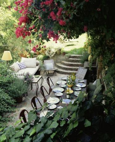 Биљка, башта, латица, грм, цвет, спољни намештај, двориште, спољни сто, двориште, саксија, 