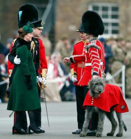 prints William ja Kate Middleton Püha Patricku päev