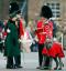 Kate Middleton und Prinz William teilten einen süßen St. Patrick's Day-Moment, den alle verpasst haben