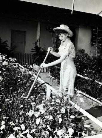 Lucy Gartenarbeit