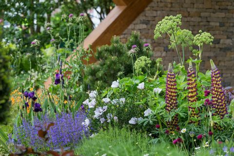 Der Morgan-Stanley-Garten. Entworfen von: Chris Beardshaw. Gesponsert von: Morgan Stanley. RHS Chelsea Flower Show 2017.