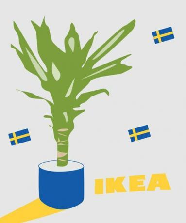 กระถางต้นไม้อิเกียและธงสวีเดน