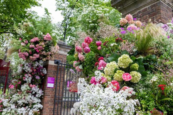 Lucy Vail florystyka Kolejna kwitnąca instalacja podczas fali upałów RHS Chelsea Flower Show 2023