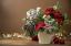 Weihnachtssternpflege: Alles, was Sie über die Weihnachtsblume wissen sollten