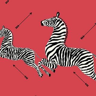 Scalamandre Zebras - Tapetai Masai Red Wallpaper