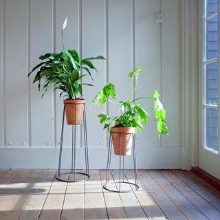 Evie Plant Stands