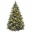 Apa Itu Pohon Natal Tumbuh dan Simpan? Belanja Pilihan 2023 Kami