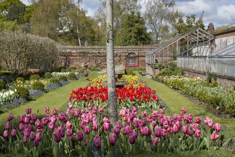 Dunsborough Park - Surrey - jardines - Savills
