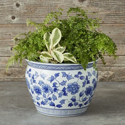 Blauwe keramische plantenbak