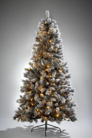 7 stôp pred osvetleným vianočným stromčekom v Čiernom lese