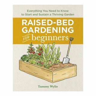 Tuinieren met verhoogd bed voor beginners