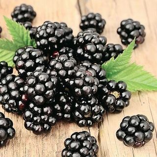 Bengalas blackberry