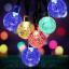 9 Lampu Natal Tenaga Surya Luar Ruangan Terbaik Menurut Ulasan