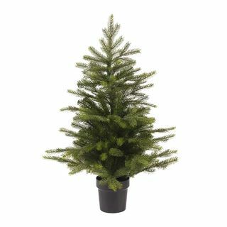 Grandis Indoor Mini Tree - 90cm - สีเขียว