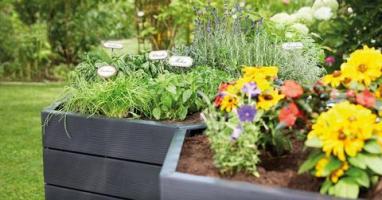 Gardeners' World's Mark Lane over toegankelijk tuinontwerp