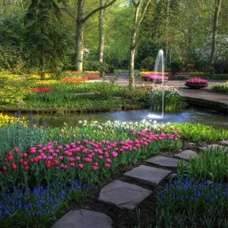 Våren Keukenhof Gardens med sti