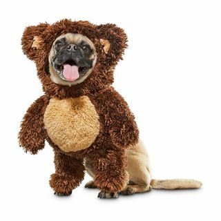 Disfraz de oso de peluche para perro