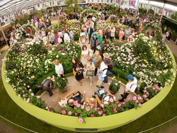 Chelsea gėlių šou 2023 didysis paviljonas