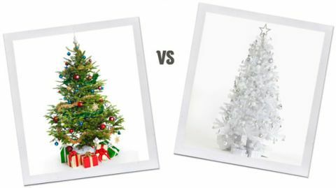 ענף, קישוט חג המולד, עלה, חורף, לבן, עץ חג המולד, צמח וודי, קישוט חג המולד, עיצוב פנים, חג המולד, 