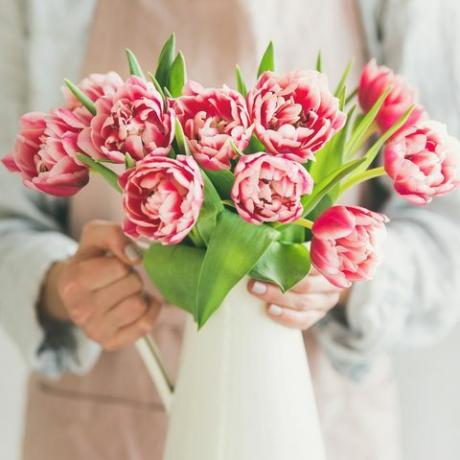 Свежи ружичасти тулипани у белој емајлираној вази