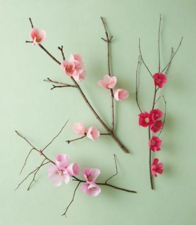 枝、花びら、花、小枝、ピンク、花、植物学、顕花植物、小花柄、春、 