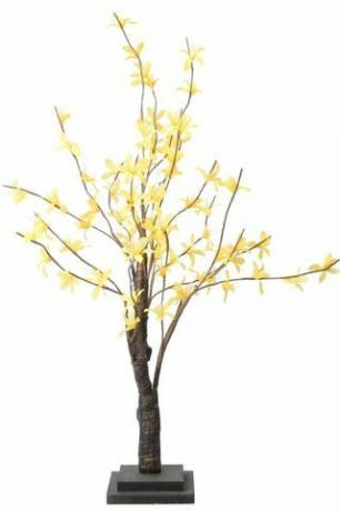 Geltona Forsythia Velykų medis, 69 £