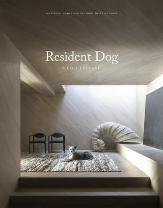 książka, pies, minimal