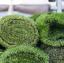Chelsea Flower Show 2022: искусственная трава запрещена на выставках RHS