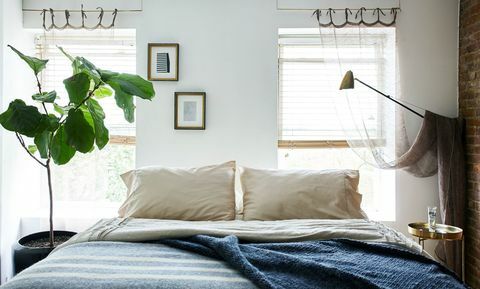غرفة نوم زرقاء مع نبات