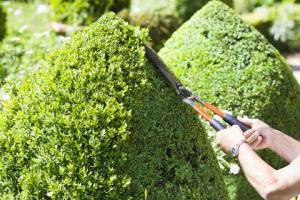 Ein gepflegter Garten kann den Wert Ihrer Immobilie um 2.000 € steigern