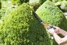 Ένας περιποιημένος κήπος μπορεί να αυξήσει την αξία του ακινήτου σας κατά £ 2.000