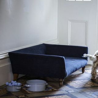 Cecil suņu gulta