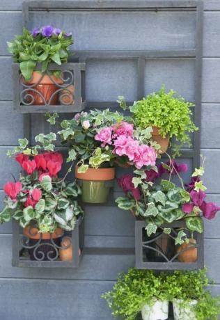 Giardino in vaso - vasi per piante