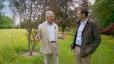 Prens Charles Bahçıvanları Bitki Satın Almadan Önce 3 Önemli Soru Sormaya Çağırıyor