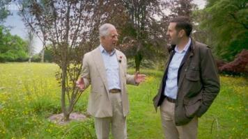 Prinz Charles fordert Gärtner auf, vor dem Kauf von Pflanzen 3 entscheidende Fragen zu stellen
